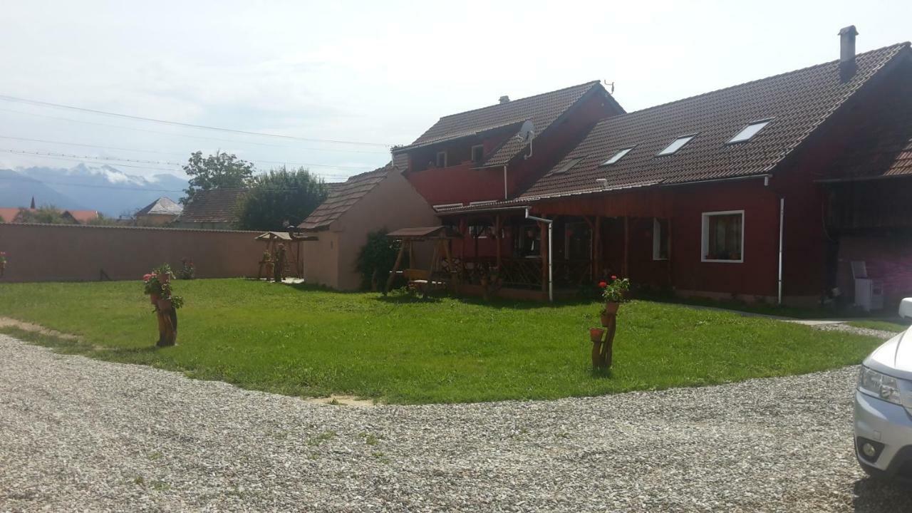 Casa Suzy & Roxy Daire Arpasu de Jos Dış mekan fotoğraf