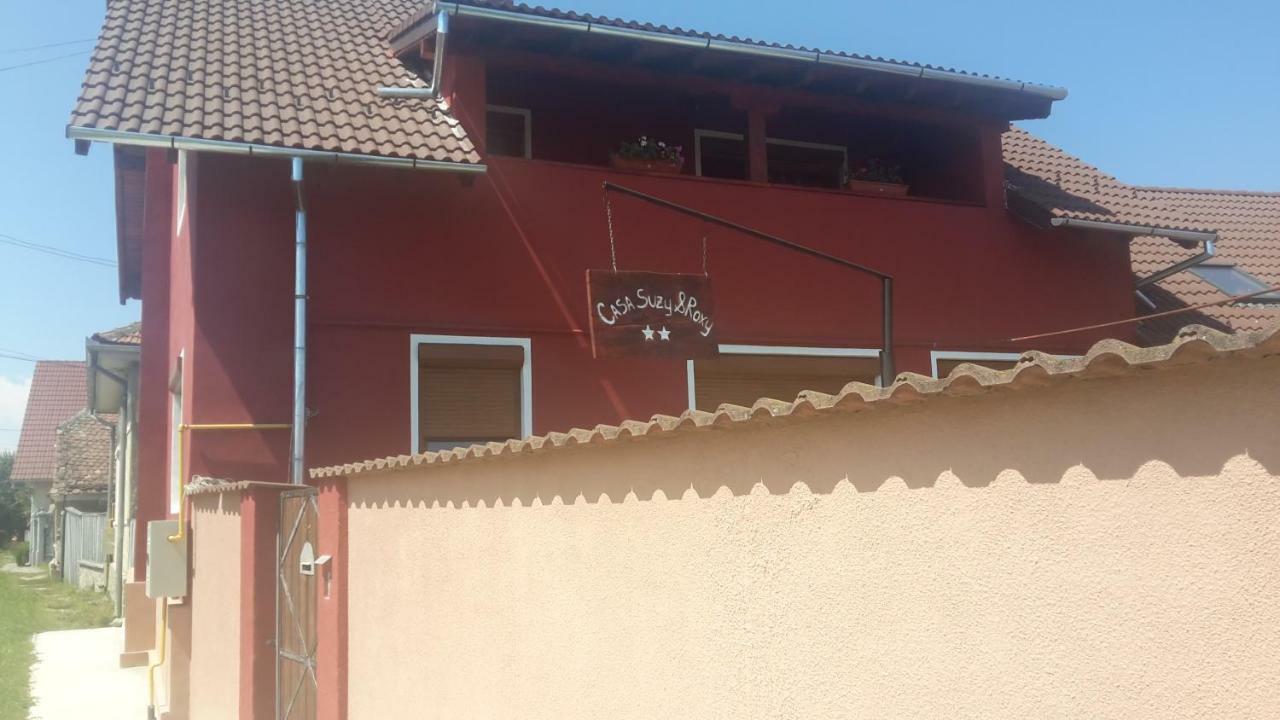 Casa Suzy & Roxy Daire Arpasu de Jos Dış mekan fotoğraf
