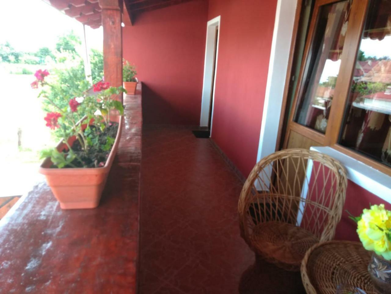 Casa Suzy & Roxy Daire Arpasu de Jos Dış mekan fotoğraf