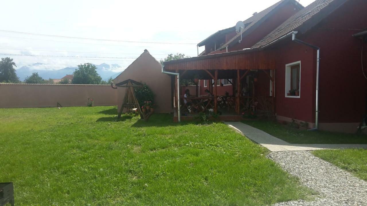 Casa Suzy & Roxy Daire Arpasu de Jos Dış mekan fotoğraf