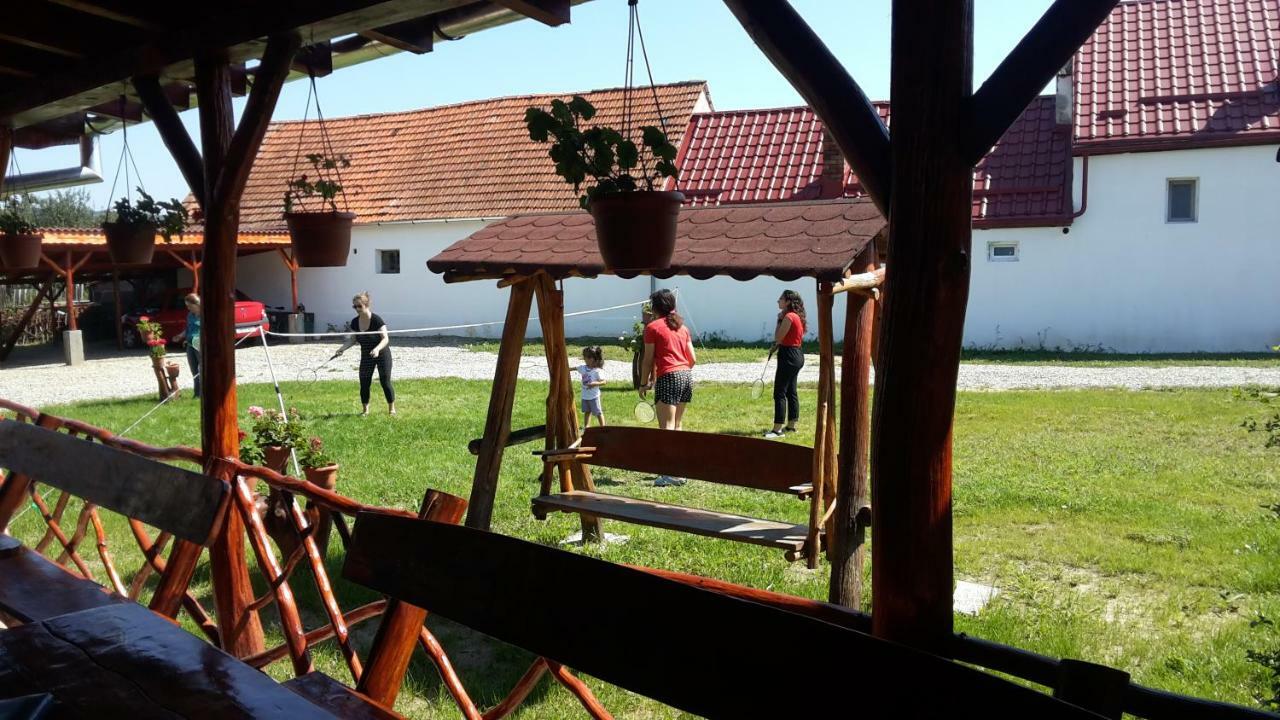Casa Suzy & Roxy Daire Arpasu de Jos Dış mekan fotoğraf